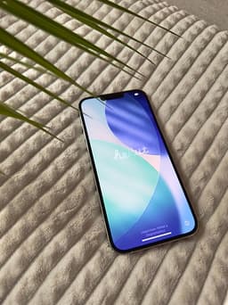 iPhone 13 Pro Max 256 GB Silver – fullt fungerande