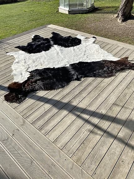 Koskinn Matta