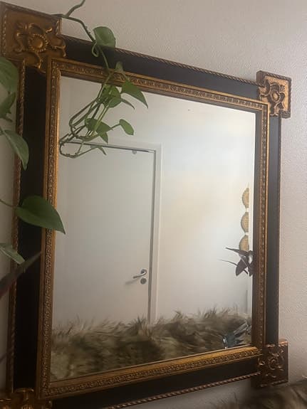 Aarikka spegel med dekorativ ram