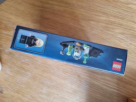 LEGO Harry Potter Borgin and Burkes: Floo Network 40695