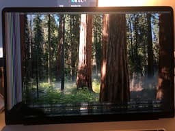 MacBook Pro 16” i9 (2019) – kraftfull, skärm defekt – perfekt med extern skärm