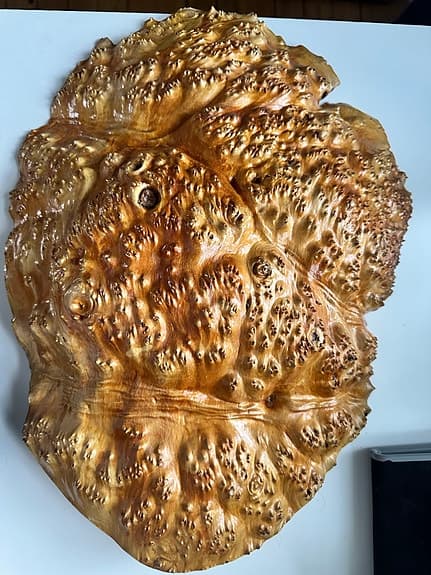 Unik väggdekoration i masurträ