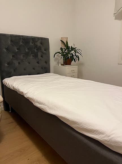 Enkelsäng