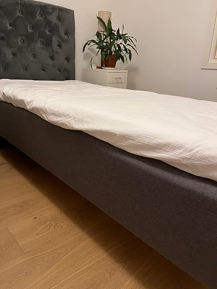 Enkelsäng