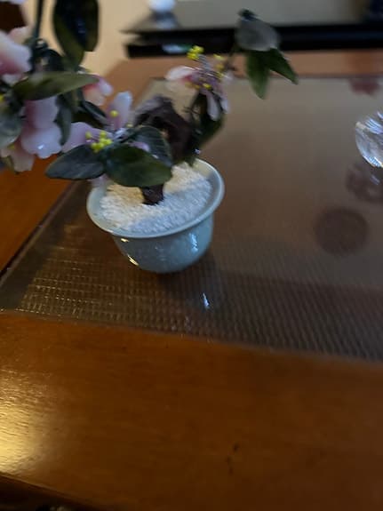 IKEA dekorationsväxt i kruka