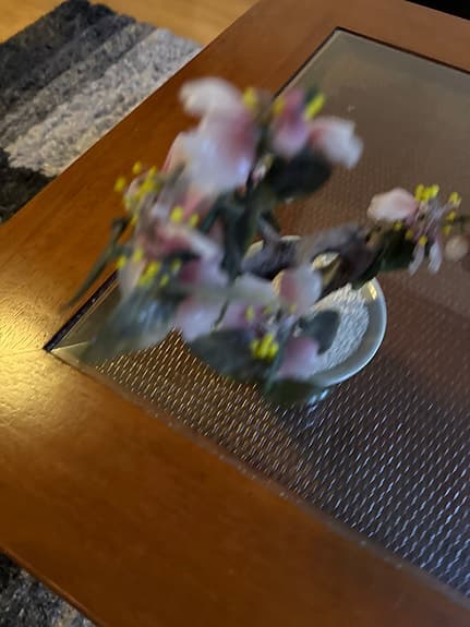 IKEA dekorationsväxt i kruka