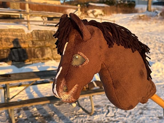 Käpphäst/hobbyhorse - @ljung_kapphastar