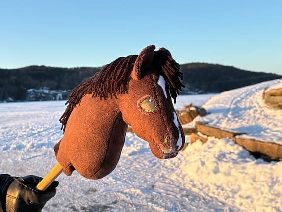 Käpphäst/hobbyhorse - @ljung_kapphastar