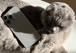 Apple iPhone 15 Pro Max mobiltelefon 256 GB silver