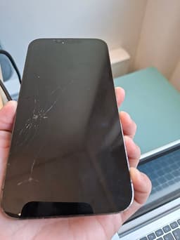 iPhone 12 PRO MAX 256gb