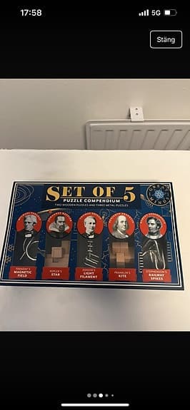 Professor Puzzle Great Minds Set of 5 pussel trä och metall