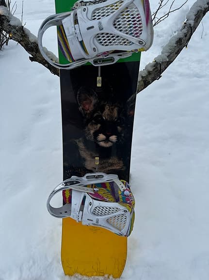 Snowboard Burton Uninc 160 med Uninc EST bindningar storlek M