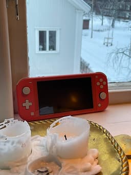 Nintendo switch lite