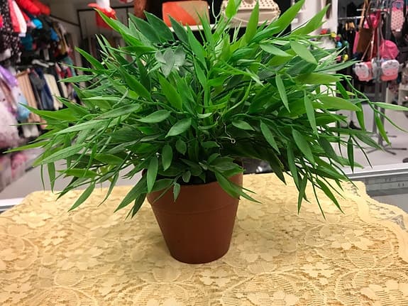 Plastväxt med Kruka