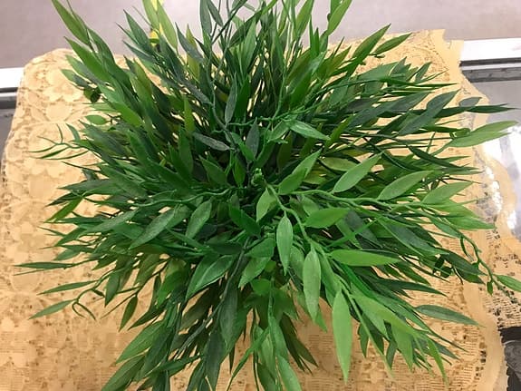 Plastväxt med Kruka