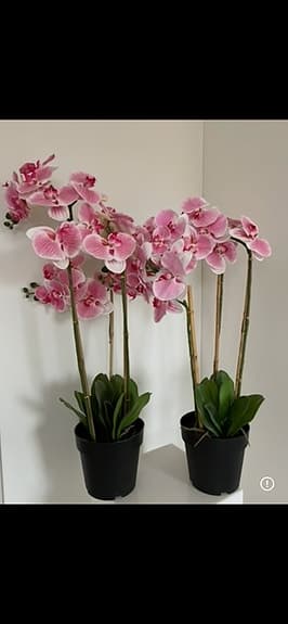 Orkidé krukväxt rosa 2 st exklusiva höga 85 cm blommor fejkblommor