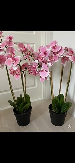 Orkidé krukväxt rosa 2 st exklusiva höga 85 cm blommor fejkblommor