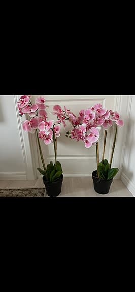 Orkidé krukväxt rosa 2 st exklusiva höga 85 cm blommor fejkblommor
