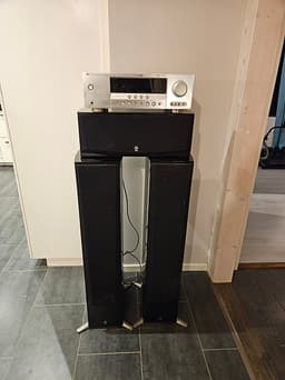 Yamaha NS-555