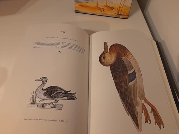 Presentbok "Le Livre des Oiseaux" med originalask