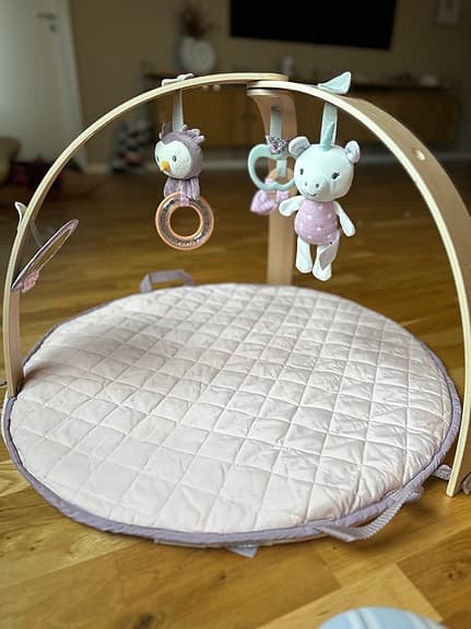 Babygym – Ingenuity