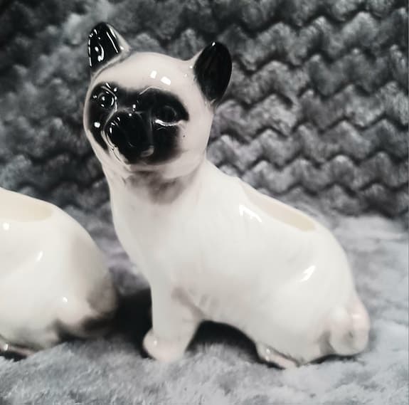 Trevliga snälla kattljusstakar