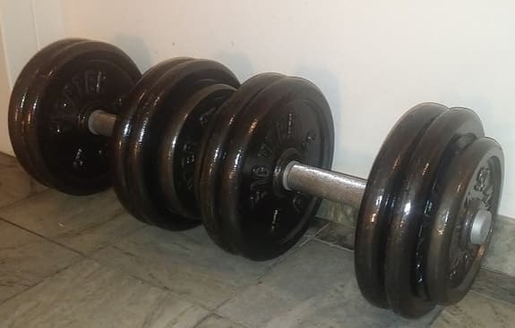 Tunga hantlar / Situpsbänk / Skivstångsupplägg / Gymleco bänk / Split Squat