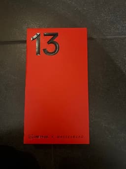OnePlus 13
