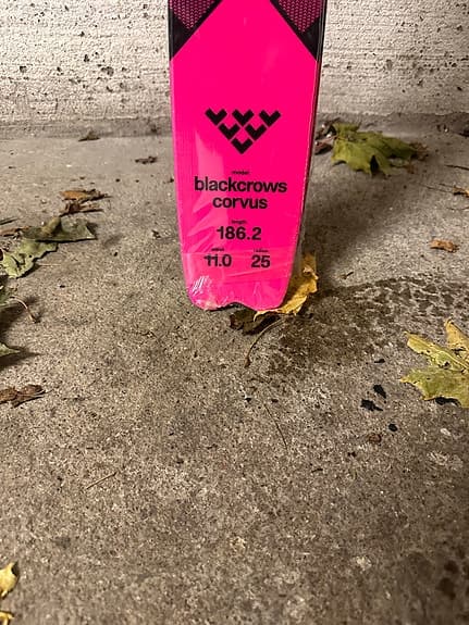 Black Crows Corvus skida 186 cm svart/rosa