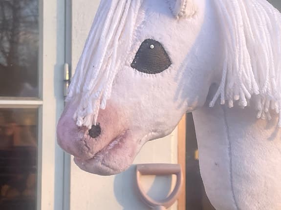 Käpphäst/hobbyhorse - @ljung_kapphastar