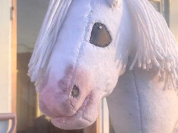 Käpphäst/hobbyhorse - @ljung_kapphastar