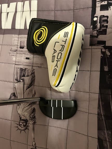 Odyssey stroke lab Rossie