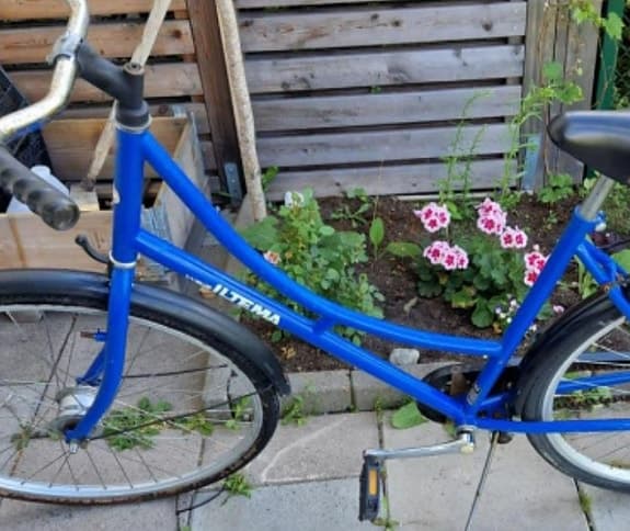 Damcykel från biltema