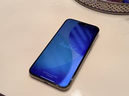 Apple iPhone 15 PRO MAX 256 GB