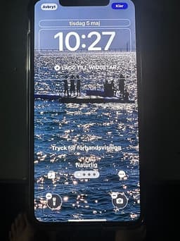 iPhone XS Max