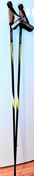 Längdskidsstavar / rullskidsstavar (rullskidsspetsar sitter på)