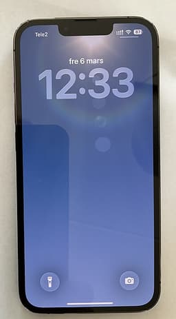 iPhone 13 pro