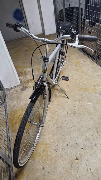 Herr Crescent city 28 tum 3 växar