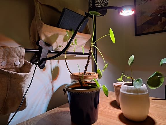 Växtbelysning - Orion Grow Light