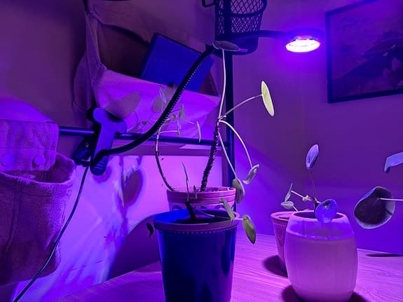 Växtbelysning - Orion Grow Light