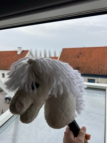 Käpphäst