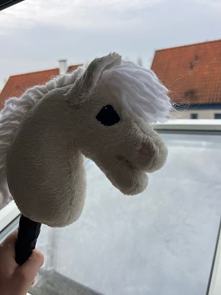 Käpphäst