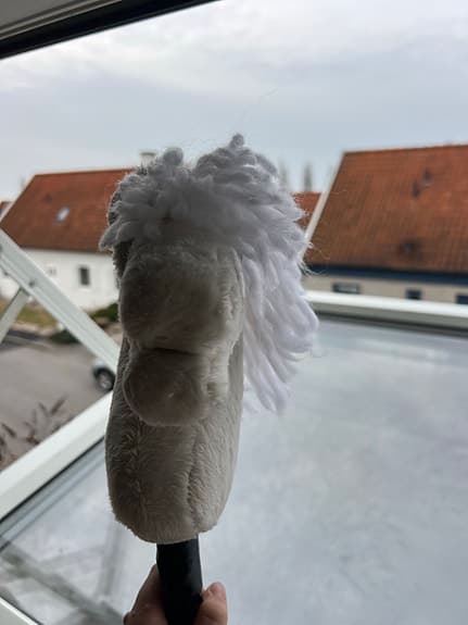 Käpphäst