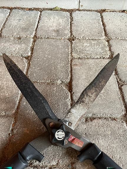 Häcksax grön nyslipad