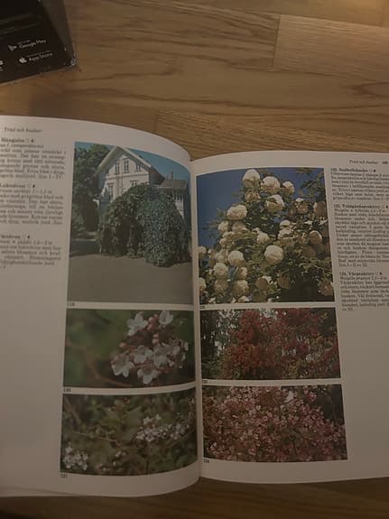 Bonniers Stora Bok om Trädgård bok