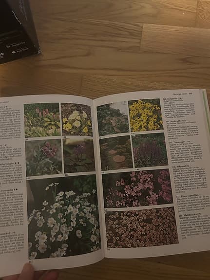 Bonniers Stora Bok om Trädgård bok