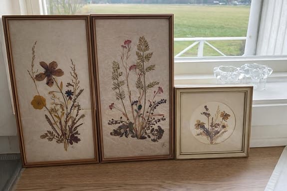 Vintage tavlor med pressade blommor – 70/80-tal – signerade WR
