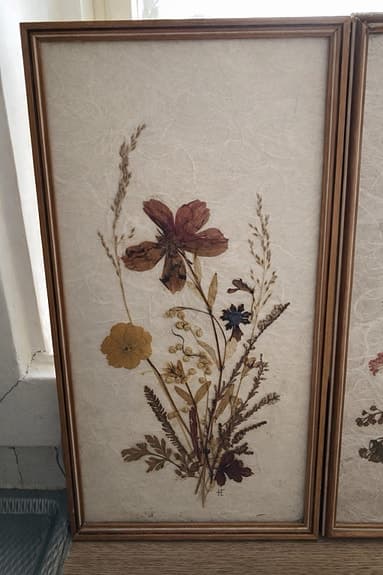 Vintage tavlor med pressade blommor – 70/80-tal – signerade WR