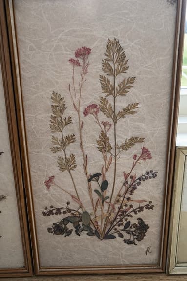 Vintage tavlor med pressade blommor – 70/80-tal – signerade WR