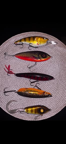 Fiskedrag beten blandade färger